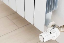 Petek Temizliği Ne Zaman Yapılır?